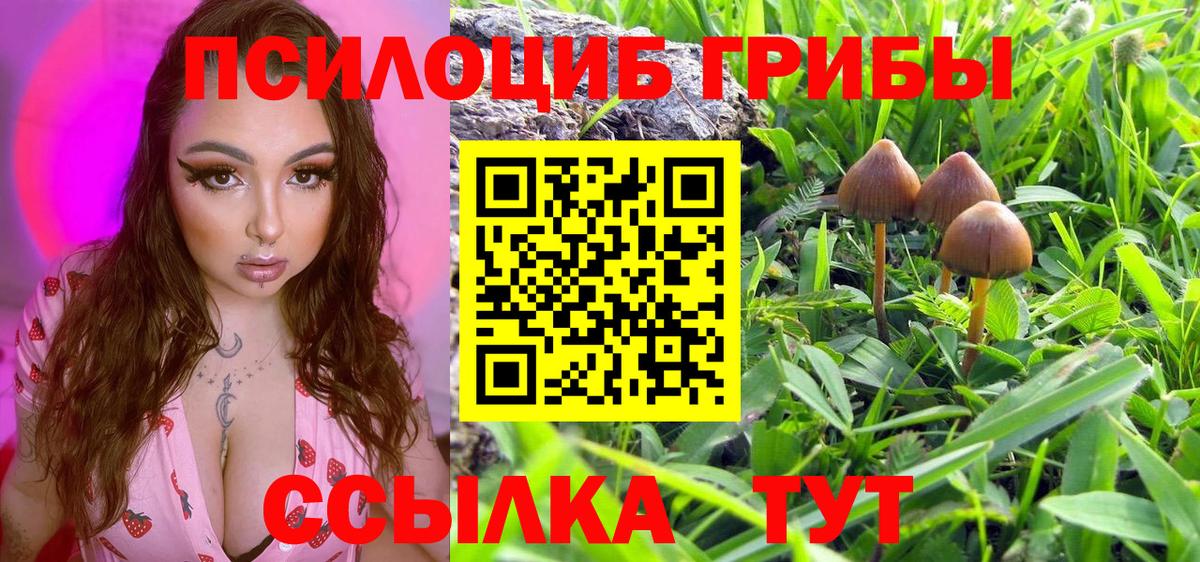 Моздок  Галлюциногенные грибы GOLDEN TEACHER  Вход с VPN 